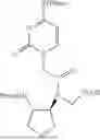 Fig. 60 - PEPTIDE NUCLEIC ACIDS, SYNTHESIS, AND USES THEREOF