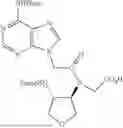 Fig. 61 - PEPTIDE NUCLEIC ACIDS, SYNTHESIS, AND USES THEREOF