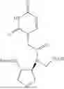 Fig. 63 - PEPTIDE NUCLEIC ACIDS, SYNTHESIS, AND USES THEREOF