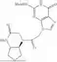 Fig. 67 - PEPTIDE NUCLEIC ACIDS, SYNTHESIS, AND USES THEREOF
