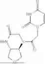 Fig. 68 - PEPTIDE NUCLEIC ACIDS, SYNTHESIS, AND USES THEREOF