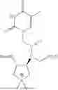 Fig. 69 - PEPTIDE NUCLEIC ACIDS, SYNTHESIS, AND USES THEREOF