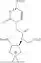 Fig. 70 - PEPTIDE NUCLEIC ACIDS, SYNTHESIS, AND USES THEREOF
