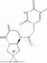 Fig. 79 - PEPTIDE NUCLEIC ACIDS, SYNTHESIS, AND USES THEREOF