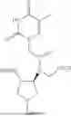 Fig. 84 - PEPTIDE NUCLEIC ACIDS, SYNTHESIS, AND USES THEREOF