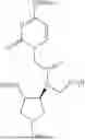 Fig. 85 - PEPTIDE NUCLEIC ACIDS, SYNTHESIS, AND USES THEREOF