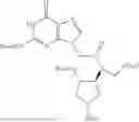 Fig. 87 - PEPTIDE NUCLEIC ACIDS, SYNTHESIS, AND USES THEREOF