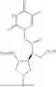 Fig. 89 - PEPTIDE NUCLEIC ACIDS, SYNTHESIS, AND USES THEREOF