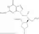 Fig. 92 - PEPTIDE NUCLEIC ACIDS, SYNTHESIS, AND USES THEREOF