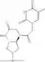 Fig. 94 - PEPTIDE NUCLEIC ACIDS, SYNTHESIS, AND USES THEREOF