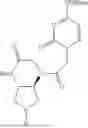 Fig. 95 - PEPTIDE NUCLEIC ACIDS, SYNTHESIS, AND USES THEREOF