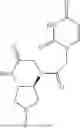 Fig. 98 - PEPTIDE NUCLEIC ACIDS, SYNTHESIS, AND USES THEREOF