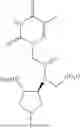 Fig. 99 - PEPTIDE NUCLEIC ACIDS, SYNTHESIS, AND USES THEREOF