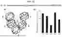 Fig. 17 - SELECTIVE SEPARATION OF HEXACHLOROPLATINATE(IV) DIANIONS BASED ON EXO-BINDING WITH CUCURBIT[6]URIL
