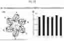 Fig. 19 - SELECTIVE SEPARATION OF HEXACHLOROPLATINATE(IV) DIANIONS BASED ON EXO-BINDING WITH CUCURBIT[6]URIL
