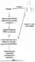 Fig. 02 - METHODS OF PREPARING AN ISOLATED POPULATION OF DENDRITIC CELLS AND METHODS OF TREATING CANCER USING SAME