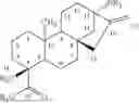 Fig. 02 - GLYCOSYLTRANSFERASE AND APPLICATION THEREOF