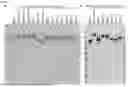Fig. 08 - PEPTIDES WITH MUCIN-BINDING PROPERTIES