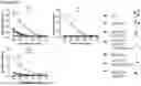 Fig. 13 - PEPTIDES WITH MUCIN-BINDING PROPERTIES