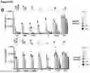 Fig. 28 - PEPTIDES WITH MUCIN-BINDING PROPERTIES