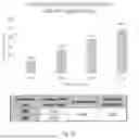Fig. 02 - Method of Purifying Nucleic Acids Using Modified Solid Phases
