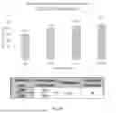 Fig. 04 - Method of Purifying Nucleic Acids Using Modified Solid Phases