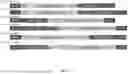 Fig. 07 - CRISPR TRANSIENT EXPRESSION CONSTRUCT (CTEC)