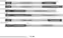 Fig. 08 - CRISPR TRANSIENT EXPRESSION CONSTRUCT (CTEC)
