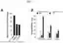 Fig. 02 - COMPOSITION FOR TREATING METASTATIC SOLID CANCER, COMPRISING TSG6 INHIBITOR