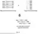 Fig. 08 - METHODS OF BARCODING NUCLEIC ACID FOR DETECTION AND SEQUENCING