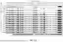 Fig. 35 - SINGLE-CELL PROFILING OF CHROMATIN OCCUPANCY AND RNA SEQUENCING