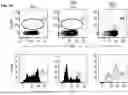 Fig. 02 - Methods and Compositions for Treating Diseases Associated with Exhausted T Cells