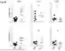 Fig. 22 - Methods and Compositions for Treating Diseases Associated with Exhausted T Cells