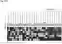 Fig. 79 - Methods and Compositions for Treating Diseases Associated with Exhausted T Cells