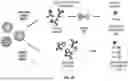 Fig. 49 - SINGLE MOLECULE ASSAYS FOR ULTRASENSITIVE DETECTION OF ANALYTES