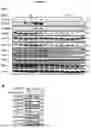 Fig. 04 - BIOMARKERS AND USES THEREOF