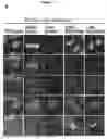 Fig. 12 - BIOMARKERS AND USES THEREOF