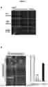 Fig. 13 - BIOMARKERS AND USES THEREOF
