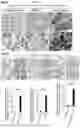 Fig. 22 - BIOMARKERS AND USES THEREOF