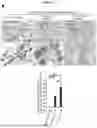 Fig. 23 - BIOMARKERS AND USES THEREOF