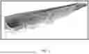 Fig. 08 - PARAMETRIC AND AUTOMATED TOOL FOR THE DESIGN OF STEEL SUBSTRUCTURE OF COMPOSITE MOLDS