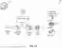 Fig. 12 - JUST IN TIME COMPILATION USING LINK TIME OPTIMIZATION