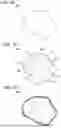 Fig. 02 - POSITIVE ELECTRODE ACTIVE MATERIAL PARTICLE