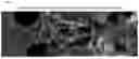 Fig. 09 - SUPPORTED METAL CATALYST AND PRODUCTION METHOD THEREOF