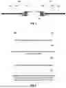 Fig. 03 - CYLINDRICAL BATTERY CELL, BATTERY AND METHOD FOR FORMING CYLINDRICAL BATTERY CELL