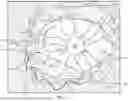 Fig. 04 - GRASPING STRUCTURE FOR MEMBRANE REMOVAL