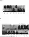 Fig. 04 - HEMOSTATIC COMPOSITIONS AND METHODS OF MAKING THEREOF