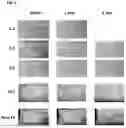 Fig. 06 - HEMOSTATIC COMPOSITIONS AND METHODS OF MAKING THEREOF