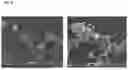 Fig. 09 - HEMOSTATIC COMPOSITIONS AND METHODS OF MAKING THEREOF