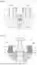 Fig. 04 - SWAGING TOOL FORMING A STAMP, AND ASSOCIATED STAMPING PROCESS